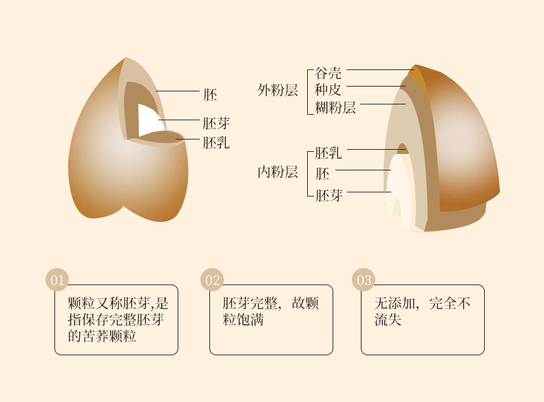 葛根苦蕎大茶球(圖6)